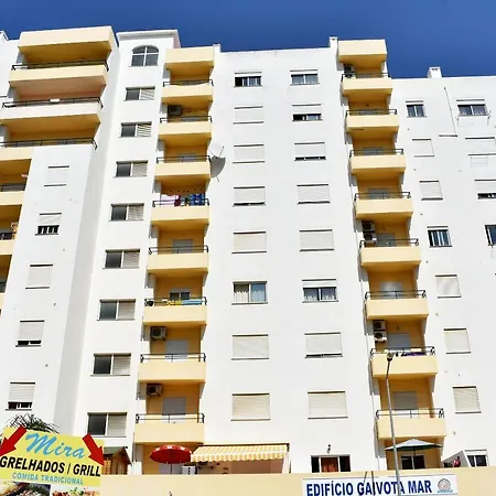 Gaivota White *